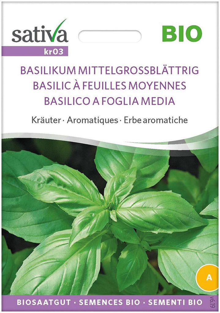 Basilico Grandi Foglie Sativa