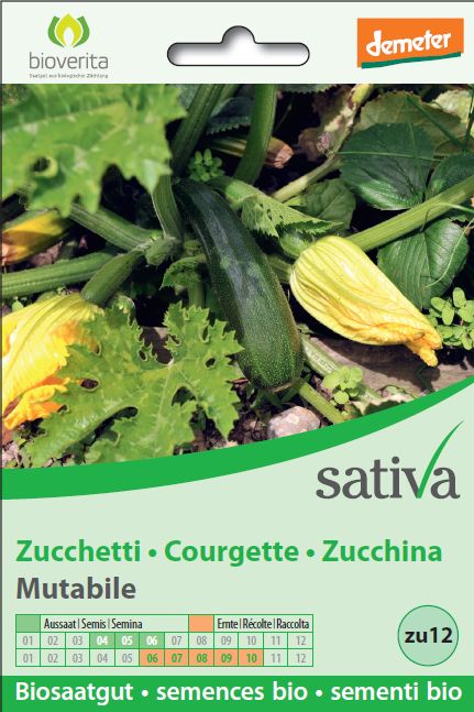 Zucchina mutabile - 6g Sativa