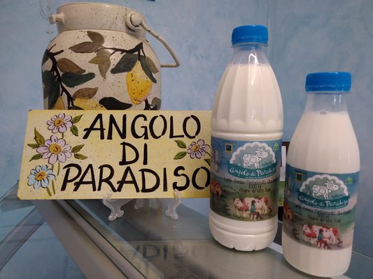 Angolo Paradiso - Latte Fresco Pastorizzato 1lt - Angolo di Paradiso