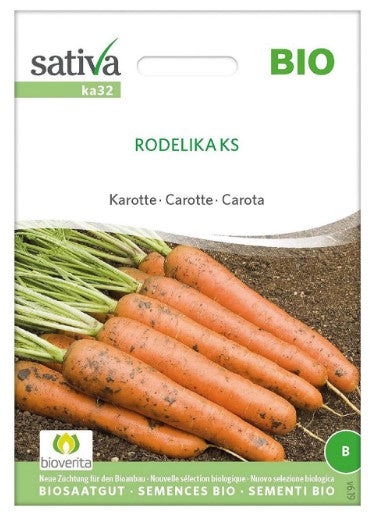 Carota - Rodelika Sativa