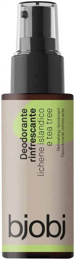 Deodorante spray rinfrescante lichene e tea tree Bjobj